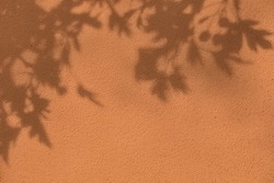 Abstract tree leaves shadows on brown concrete wall texture with roughness and irregularities. Abstract trendy colored nature concept background. Copy space for text overlay, poster mockup flat lay 