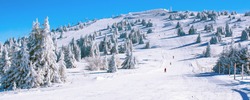 Winter banner panorama of the slope at ski resort, people skiing, snow pine trees, blue sky