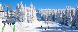 Panorama of ski resort, slope, people on the ski lift, skiers on the piste among white snow pine trees