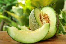 Sliced of Honeydew melons,honey melon or cantaloupe (Cucumis melo L.) on wooden table with blurred garden background.Favorite fruit in summer.Fruits or healthcare concept.Selective focus.