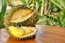 Whole and peeled of Durian(Durio) on wooden table with blurred garden background.Favorite fruit in summer.Durians have a lot of fiber,Pholyphenols and antioxidants.Food,Fruits or healthcare concept.
