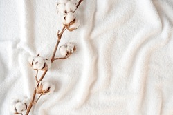 Dried branch of cotton plant with flowers on soft white elegance towel, space for text