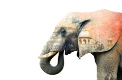 Indian elephant and Taj Mahal in Agra - India. White background with space for idea.