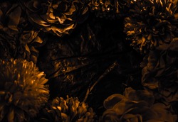 Beautiful abstract color black and yellow flowers graphic on black background and gold flower frame and brown leaves texture, dark background, orange and gold love banner 