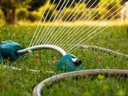 Irrigation sprinkler watering green lawn in the garden.