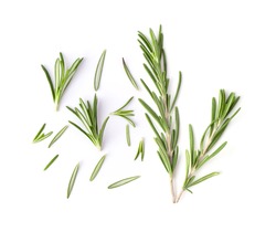 Rosemary isolated on white background. Top view.