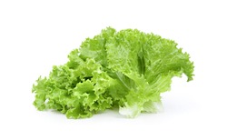  lettuce salad leaves isolated on white background