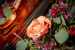 Close up of a Violin and Roses 