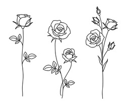 One line drawing. Garden rose with leaves. Hand drawn sketch. Set of flowers. Vector illustration.