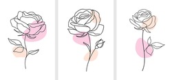 One line drawing. Decorative beautiful english garden rose with bud and color spots. Minimalist hand drawn sketch. Vector stock illustration.