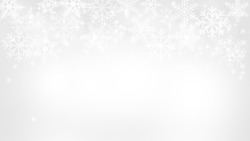 Abstract Snow Flake White and Gray Vector Backgrounds