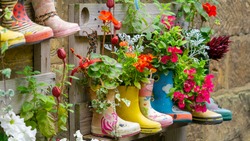 Rubber Wellington Boots are lined up and used as flower pots in the coastal village of Staithes, North Yorkshire, UK
