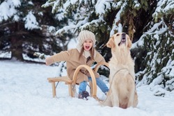 a girl in a winter forest on a sled with a golden retriever dog. winter, christmas and new year