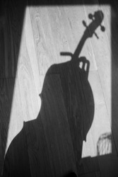cello shadow on a wooden floor