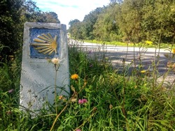 Traditional shell sign and arrow painted on the way. Direction sign for pilgrims in Saint James way, Camino de Santiago de Compostela