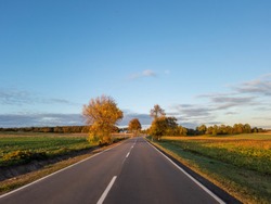 Empty road in autumn, Eastern Europe. Lubelskie, Krasnystaw, Poland.
