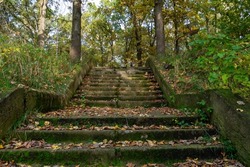 An old abandoned concrete staircase in the forest covered with moss and fallen leaves. Autumn landscape in the forest. An abandoned and destroyed building in a remote forest.