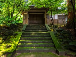 Mossy steps approaching to a wooden palace (Yahiko shrine, Yahiko, Niigata, Japan)