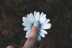 A young girl's tender finger with a themed floral manicure on a white chamomile flower, close-up on a blurred background of dry plants. Nature revival and beauty concept. Artistic fingernail painting