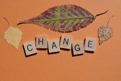 Change, word in 3d wooden alphabet letters isolated on plain background with colourful autumn leaves