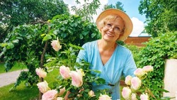 Happy old age and retirement life concept. Gardening and growing roses as a hobby for a retired woman. An attractive senior lady in glasses and a hat stands in the garden near a rose bush.