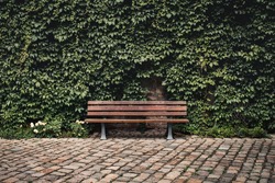 Bench in the green area  