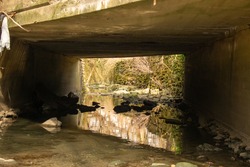 A Shallow Creek Flowing Under a Concrete Bridge Surrounded by Rocks, Leaves, and Sticks