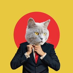 Portrait  business man with an animal face on a yellow red background. Smart serious cat. Collage in magazine style. human characters through animals. Contemporary collage, art, creative idea