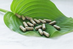 Dietary supplements or over the counter drugs on a green fresh leaf