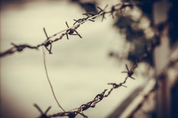 Barbed wire on a blur background