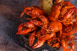 A pile of tasty boiled crawfish. Boiled red crayfish or crawfish with  herbs on a table. Crayfish party, restaurant, cafe, pub menu.