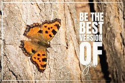 Be the best version of you, vector. Banner design. Beautiful butterfly, macro photography. Motivational inspirational life quote. Typographical poster design.