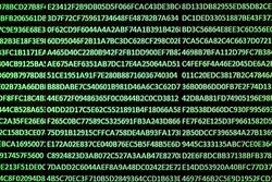 A set of random hexadecimal numbers captured from an LCD screen created with a spreadsheet program with glowing green letters on a black background