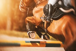 Rear view as a bay racehorse with a rider in the saddle quickly jumps over the high yellow barrier in a show jumping competition, illuminated by sunlight. Horse riding. Equestrian sports.
