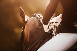 A rider with white gloves on his hands sits astride a bay horse with a braided mane, holding the bridle rein, illuminated by sunlight. Equestrian sports. Horse riding.