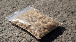 A small bag of sawdust and maggots. Live bait for fishing. Fly larvae are good bait for catching any fish. Fishing. The topic is bait for carp, bream, perch, crucian fish. Bait for fishing