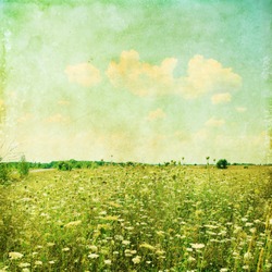 Summer field in grunge and retro style.