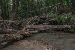 broken bridge over a stream and a lot of fallen trees in the forest after a storm