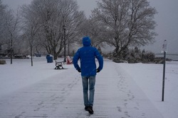 Man walking at Toronto waterfront Martin Goodman trail during heavy snowstorm, wet snow covering trees and branches. Icy roads, blizzard, unsafe driving conditions extreme weather warning concept.