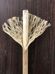Hemp fibres separated from the hemp stalk