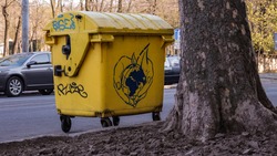 trash can with graffiti Ecology