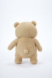 The back of a brown teddy bear with a white background