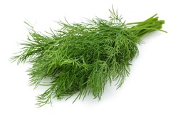 Bunch of fresh green dill isolated on white background
