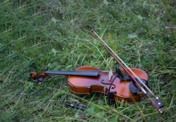 violin on green grass in summer outdoors