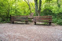 Two old wooden benches in the woods. Two old wooden benches for the rest.