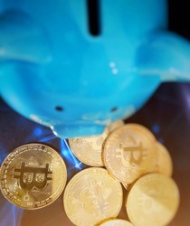 Piggy bank and a lot of gold bitcoin coins, The image has no focus.