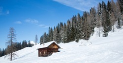 Winter house and spruce tree in a winter snowy panoramic landscape on a sunny day