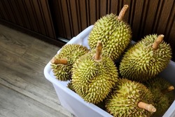 Lots of durians in the box The famous fruit durian of Thailand, king of fruits.