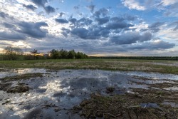 A large puddle in the middle of a plowed field. Swampy field, evening rural landscape. A strip of forest on the horizon. Sunset sky.