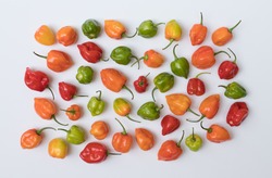 Colorful, beautiful, garden grown habanero peppers on a white framed background. Lovely red, green, & orange habaneros for background. Inviting, aesthetically pleasing, artistic texture & placement. 